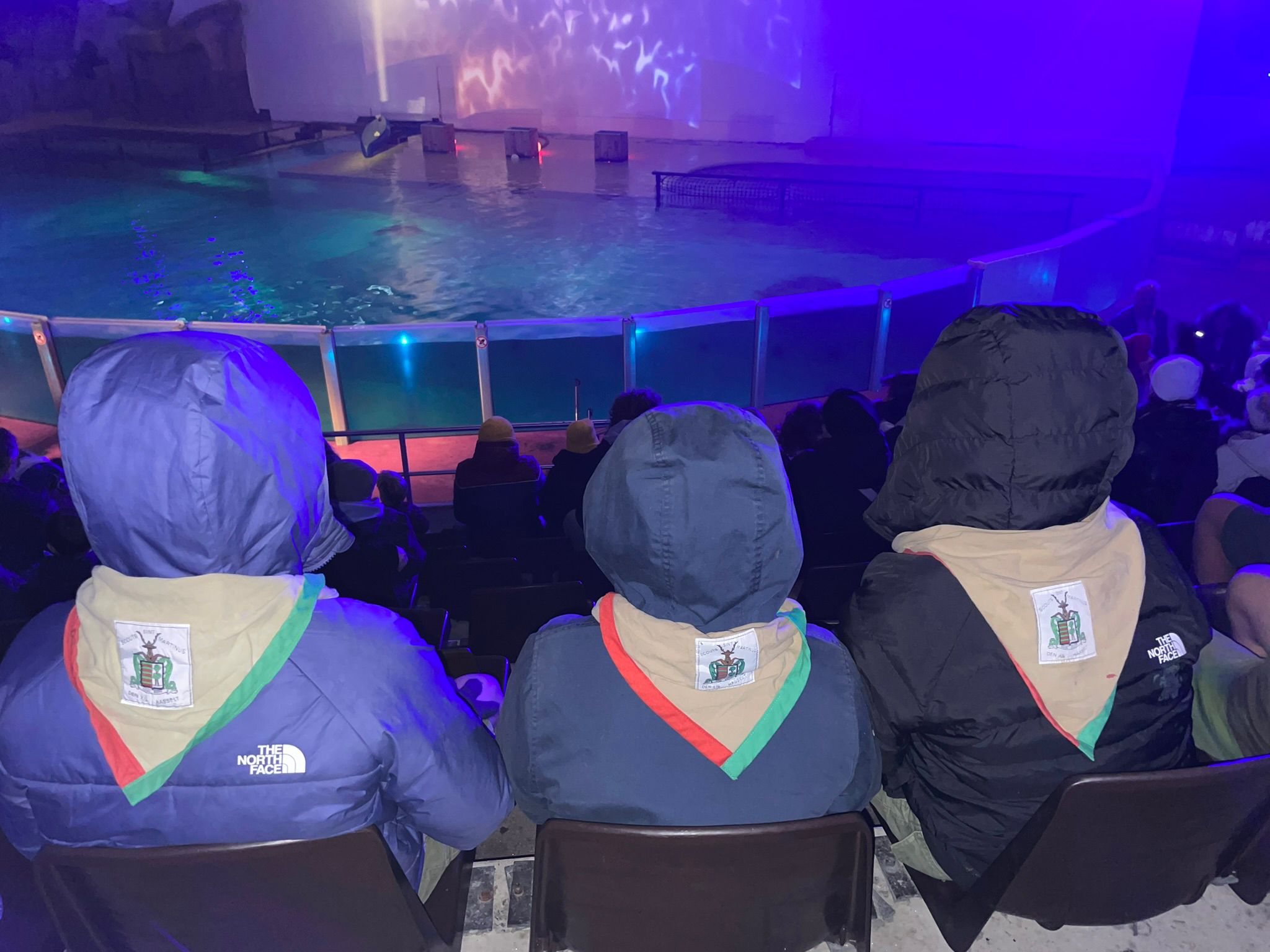 Sint-Martinus den XIIde - Winterkamp JVK 2024